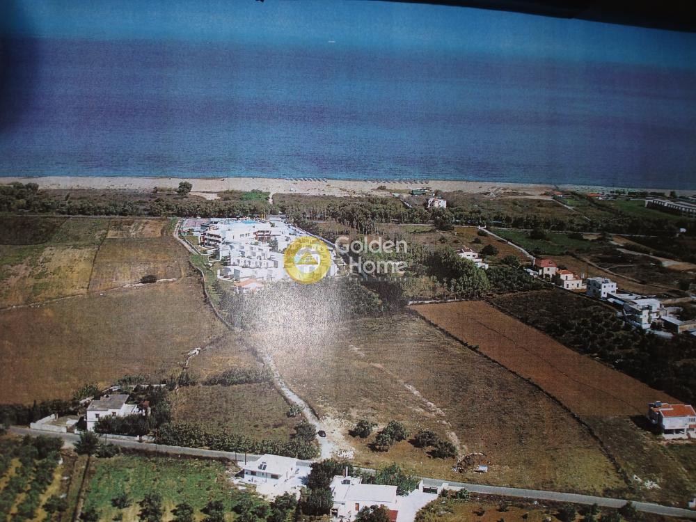 Οικόπεδο 15.292 τ.μ. προς πώληση, Ασπρουλιάνοι