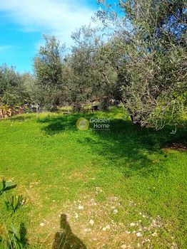 Αγροτεμάχια 550τ.μ. για πώληση-Χερσόνησος » Πισκοπιανό