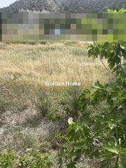 Οικόπεδο 5.500 τ.μ. για πώληση