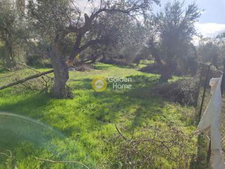 Οικόπεδο 3.600 τ.μ. προς πώληση, Ρογίτικα-thumb-1