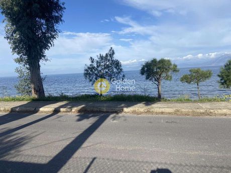 Οικόπεδο 3.600 τ.μ. για πώληση