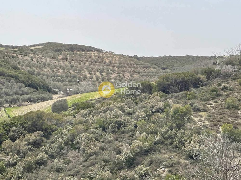 Οικόπεδο 20.842 τ.μ. προς πώληση, Φλώρια