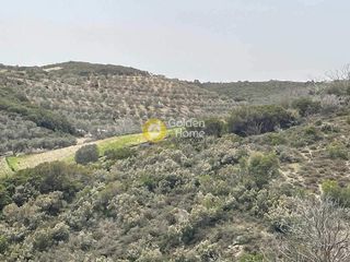 Οικόπεδο 20.842 τ.μ. για πώληση