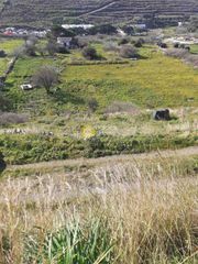 Οικόπεδο 7.000 τ.μ. για πώληση