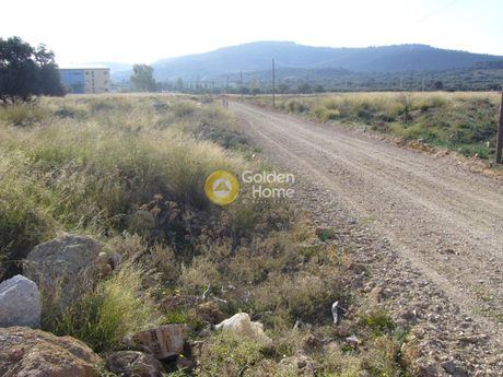 Οικόπεδο 100.000 τ.μ. για πώληση