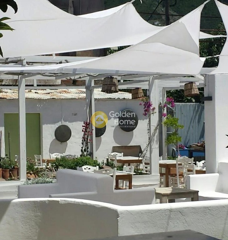 Επιχείρηση 160 τ.μ. πρός πώληση, Σποράδες, Σκόπελος