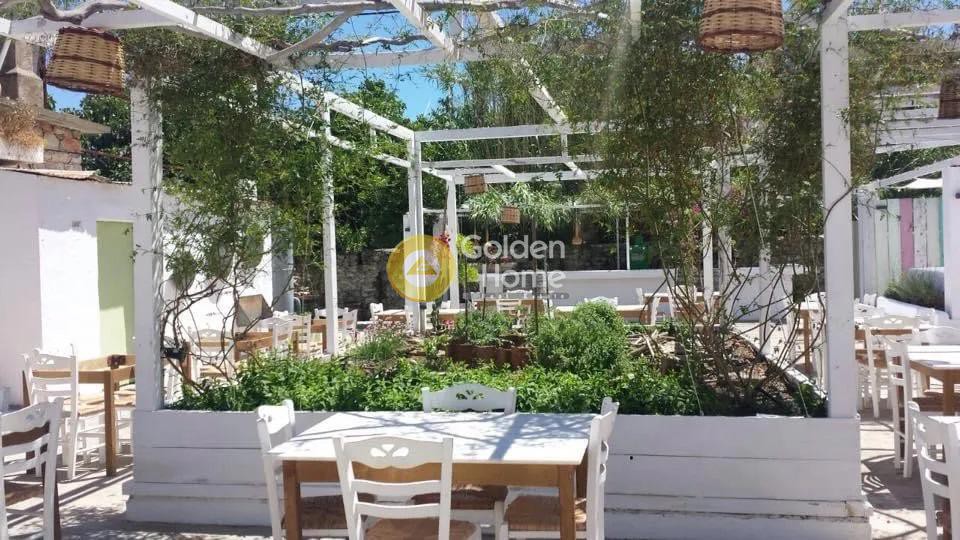 Επιχείρηση 160 τ.μ. πρός πώληση, Σποράδες, Σκόπελος