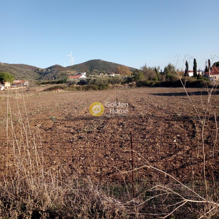Οικόπεδο 4.000 τ.μ. προς πώληση, Κριεζά