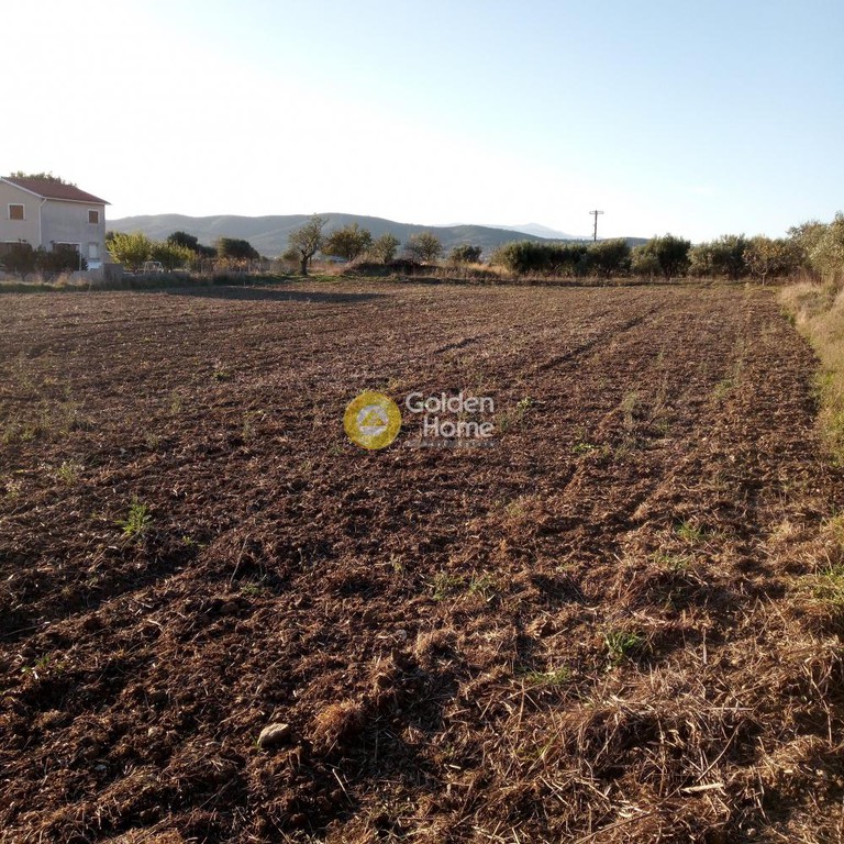 Οικόπεδο 4.000 τ.μ. προς πώληση, Κριεζά