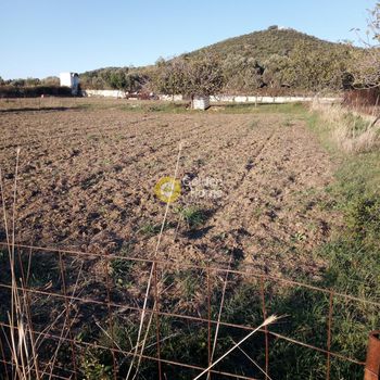 Land plot 4.000 sqm for sale