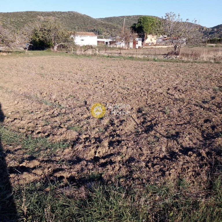 Οικόπεδο 4.000 τ.μ. προς πώληση, Κριεζά