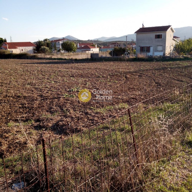 Οικόπεδο 4.000 τ.μ. προς πώληση, Κριεζά