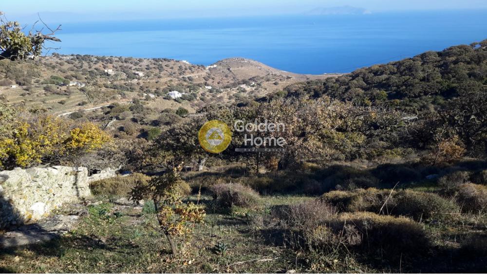 Αγροτεμάχια 9.785 τ.μ. προς πώληση, Πέρα Μεριά