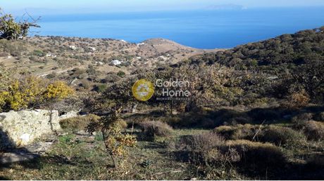 Αγροτεμάχια 9.785 τ.μ. προς πώληση