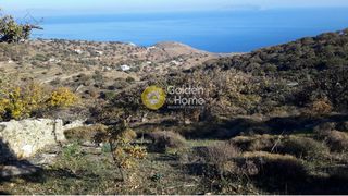 Αγροτεμάχια 9.785 τ.μ. για πώληση
