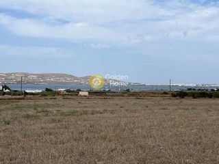 Αγροτεμάχια 9.200 τ.μ. για πώληση