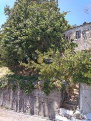 Οικόπεδο 400 τ.μ. για πώληση, Αρκαδία, Κοσμάς-thumb-1