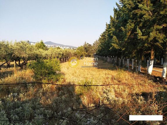 Αγροτεμάχια 1.000 τ.μ. για πώληση, Θεσσαλονίκη - Περιφ/Κοί Δήμοι, Πυλαία