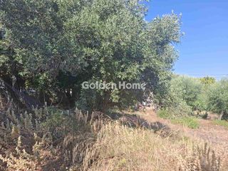 Οικόπεδο 185 τ.μ. για πώληση