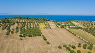 Οικόπεδο 9.900 τ.μ. προς πώληση