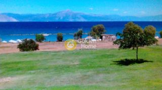 Οικόπεδο 4.000 τ.μ. για πώληση