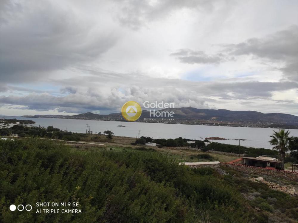 Αγροτεμάχια 4.373 τ.μ. προς πώληση, Κάμπος Αντιπάρου