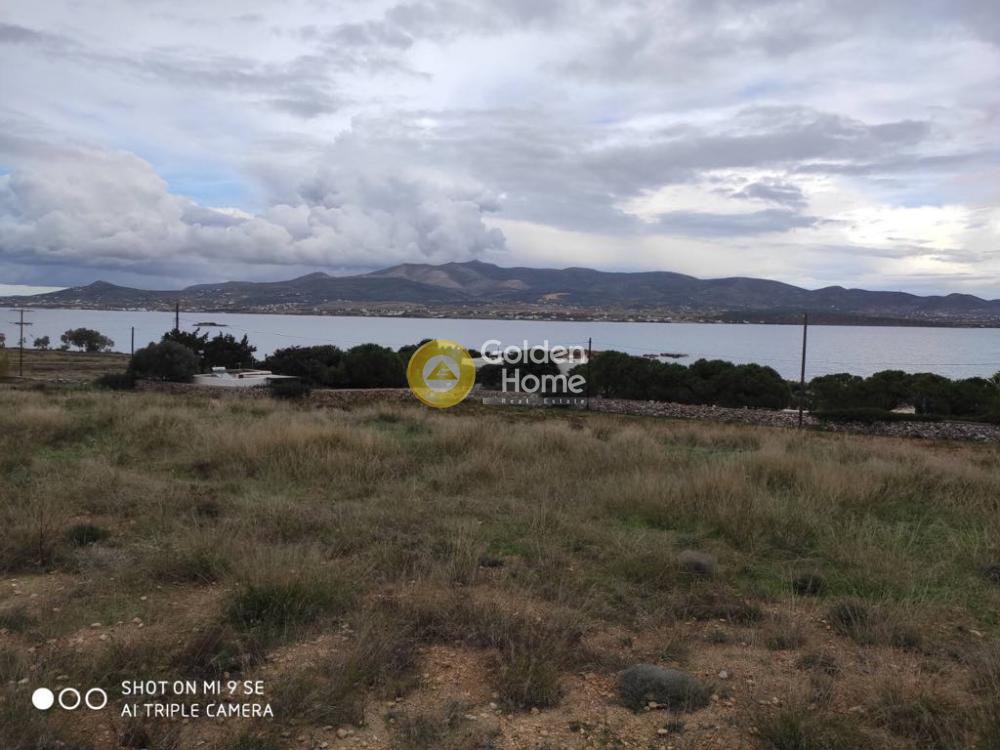 Αγροτεμάχια 4.373 τ.μ. προς πώληση, Κάμπος Αντιπάρου