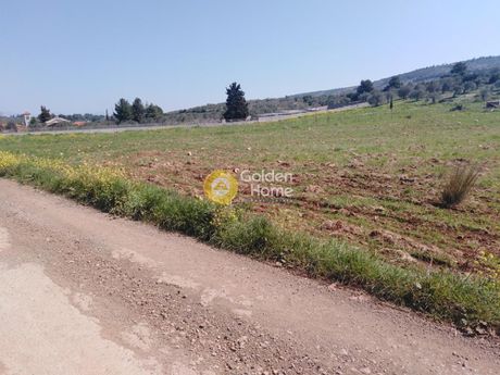 Land plot 6.000 sqm for sale