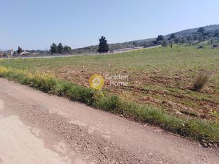 Οικόπεδο 6.000 τ.μ. για πώληση