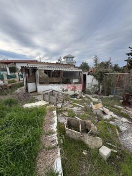 Αγροτεμάχια 300τ.μ. για πώληση-Θερμαϊκός » Αγία τριάδα