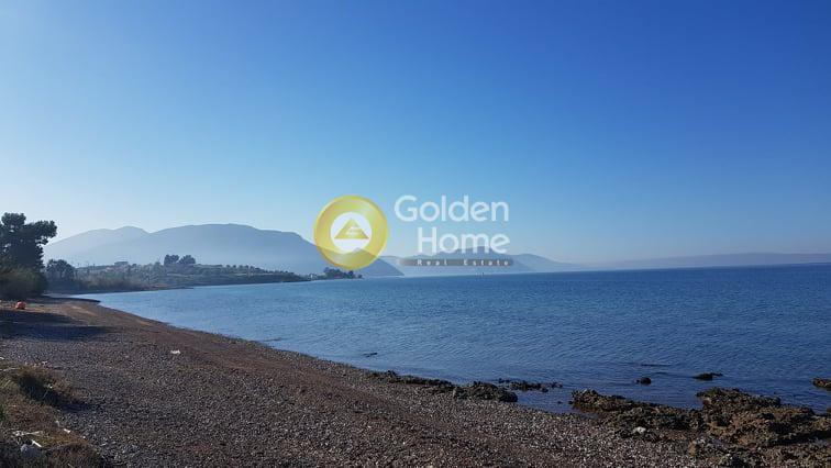 Οικόπεδο 11.000 τ.μ. προς πώληση, Λουκίσια