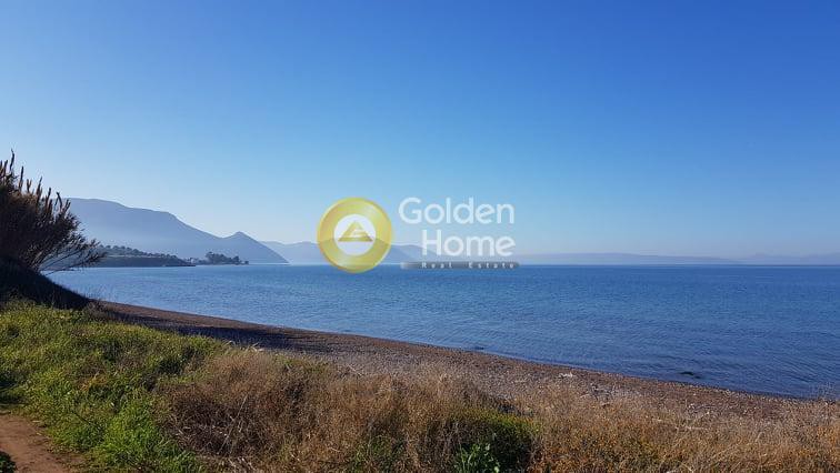 Οικόπεδο 11.000 τ.μ. προς πώληση, Λουκίσια