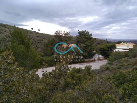 Οικόπεδο 552τ.μ. για πώληση-Νέα μάκρη » Νέος βουτζάς