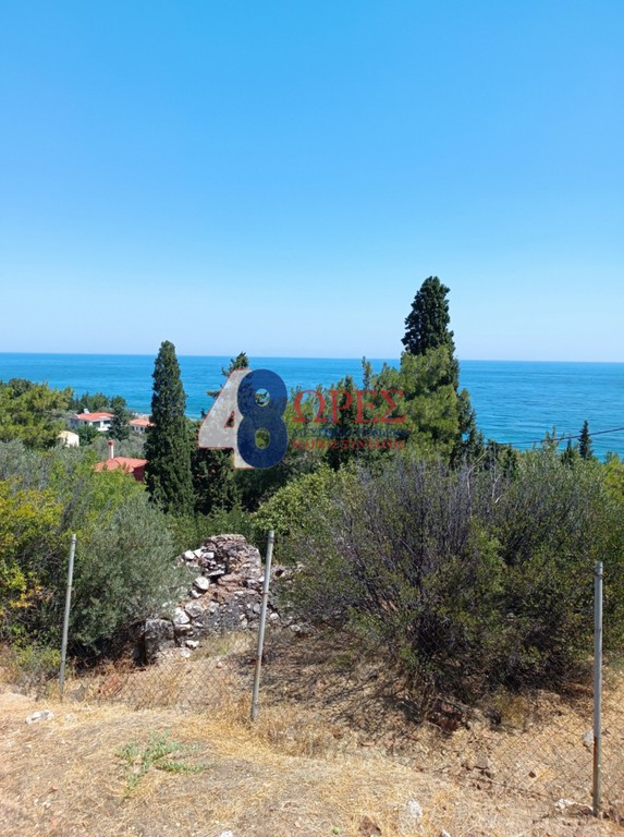 Οικόπεδο 1.517 τ.μ. προς πώληση, Καρδάμυλα