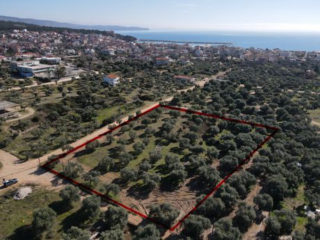 Αγροτεμάχια 4.008τ.μ. για πώληση-Θάσος » Λιμενάρια