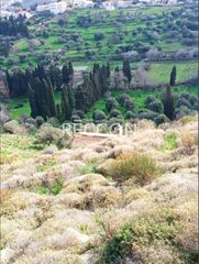 Αγροτεμάχια 32.900 τ.μ. προς πώληση, Χώρα Άνδρου-thumb-8