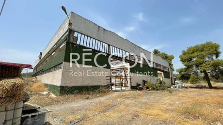 Business bulding 2.000sqm for sale-Agioi Theodoroi » Center