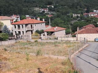 Οικόπεδο 701 τ.μ. για πώληση, Αρκαδία, Λεβίδι-thumb-10