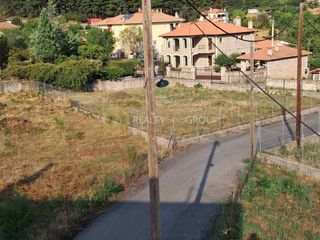 Οικόπεδο 701 τ.μ. για πώληση, Αρκαδία, Λεβίδι-thumb-8