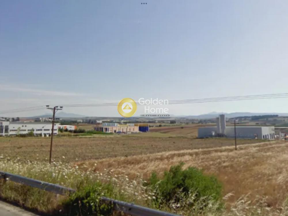 Αγροτεμάχια 12.515 τ.μ. προς πώληση, Λάκκωμα Καλλικράτειας
