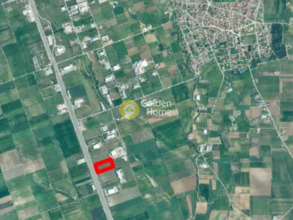 Αγροτεμάχια 12.515 τ.μ. προς πώληση, Λάκκωμα Καλλικράτειας