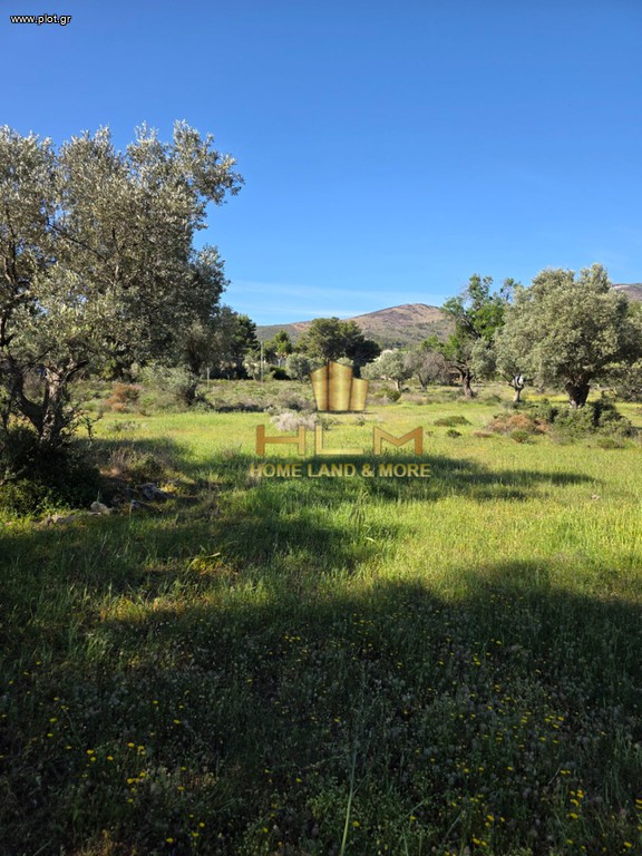 Οικόπεδο 1.210 τ.μ. πρός πώληση, Αθήνα - Ανατολικά Προάστια, Νέα Μάκρη