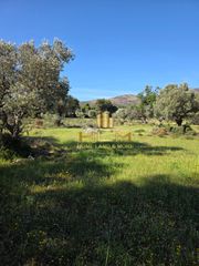 Οικόπεδο 1.210 τ.μ. για πώληση