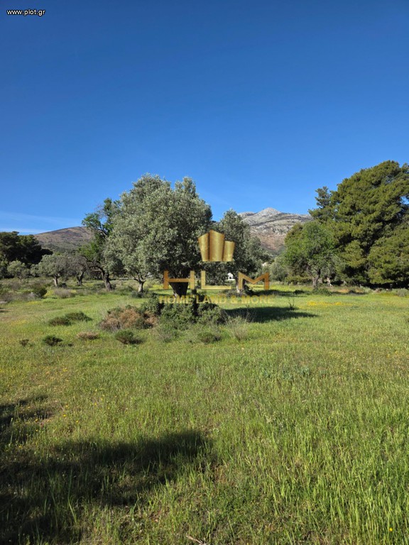 Οικόπεδο 1.210 τ.μ. πρός πώληση, Αθήνα - Ανατολικά Προάστια, Νέα Μάκρη