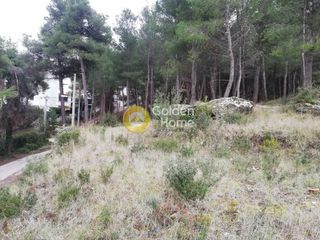 Οικόπεδο 847 τ.μ. προς πώληση