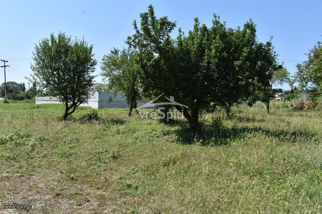 Οικόπεδο 486 τ.μ. για πώληση, Ν. Ιωαννίνων, Παμβωτίδα