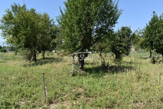 Οικόπεδο 486 τ.μ. για πώληση, Ν. Ιωαννίνων, Παμβωτίδα-thumb-6