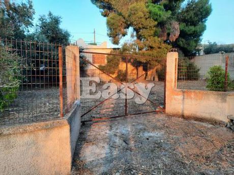 Land plot 360sqm for sale-Salamina » Center