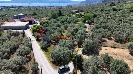 Αγροτεμάχια 789τ.μ. για πώληση-Αρτέμιδα