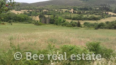 Parcel 7.000sqm for sale-Argalasti » Koutsilochori